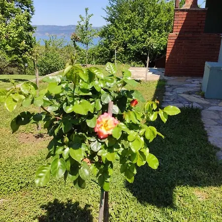 Villa Outstanding Villa With Private Pool And View Near Lake Sapanca Sakarya (Marmara)